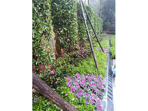 別墅園林施工 (17)