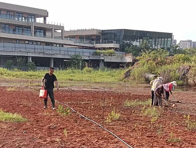 岳麓區(qū)湘江歡樂城