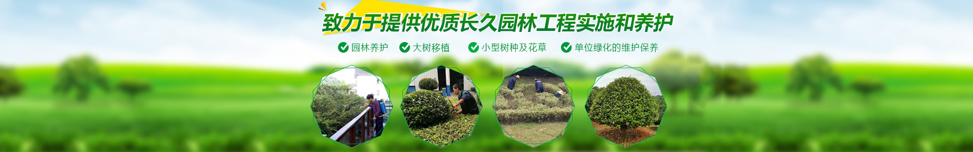 長沙市亮宇園林綠化工程有限公司_長沙園林養(yǎng)護(hù)|長沙大樹移植|小型樹種及花草哪里的好 長沙市亮宇園林綠化工程有限公司_長沙園林養(yǎng)護(hù)|長沙大樹移植|小型樹種及花草哪里的好