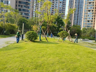 長沙市亮宇園林綠化工程有限公司,長沙園林養(yǎng)護(hù),長沙大樹移植,小型樹種及花草哪里的好