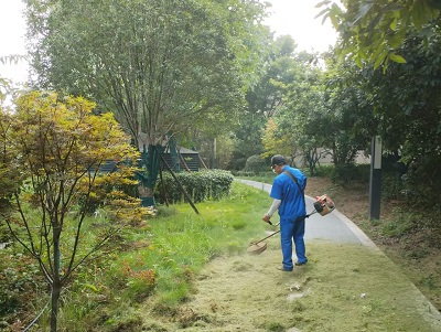 長沙市亮宇園林綠化工程有限公司,長沙園林養(yǎng)護(hù),長沙大樹移植,小型樹種及花草哪里的好