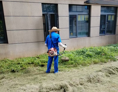 長沙市亮宇園林綠化工程有限公司,長沙園林養(yǎng)護(hù),長沙大樹移植,小型樹種及花草哪里的好